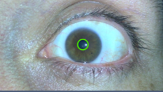 Captura de pantalla 2025-11-27 180407