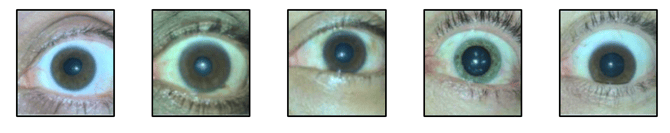 Captura de pantalla 2025-11-27 182104