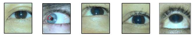 Captura de pantalla 2025-11-27 182110